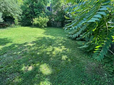 Lawn Care service in Wheeling, 26003