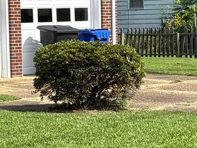 Lawn Care service in Maricopa, 85139