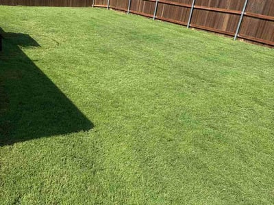 Lawn Care service in Cleburne, 76033
