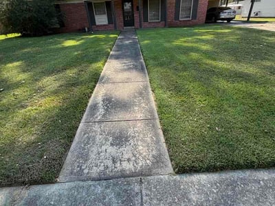 Lawn Care service in Little Rock, 72201