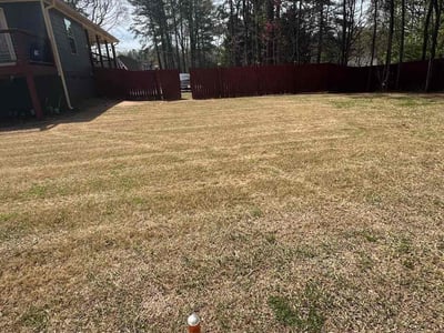 Lawn Care service in South Portland, 04106