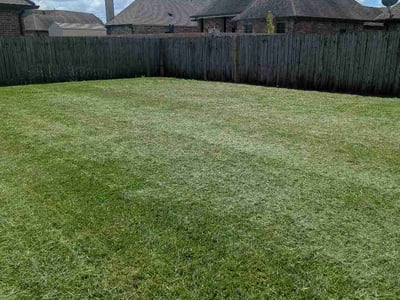 Lawn Care service in West Monroe, 71291