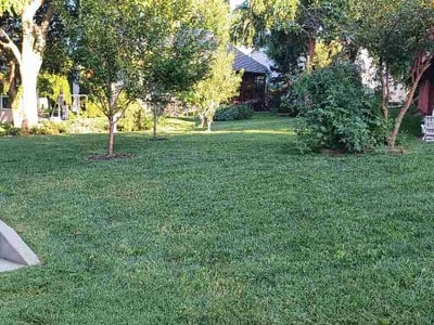 Lawn Care service in Prairie Village, 66208
