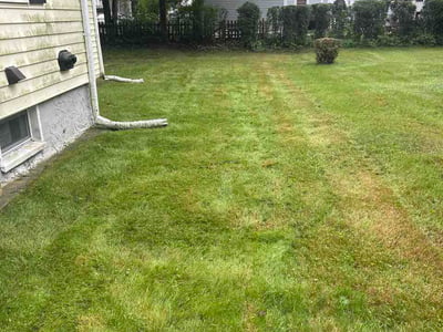 Lawn Care service in Mansfield, 02048