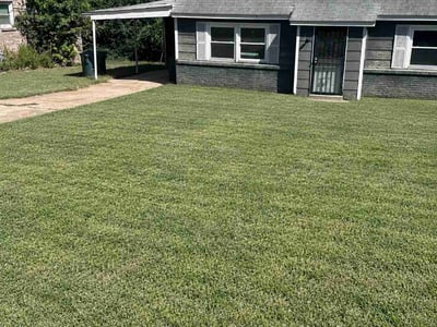 Lawn Care service in Covington, 38019