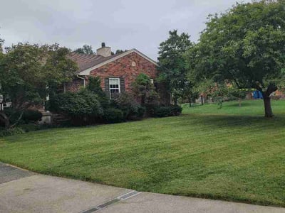 Lawn Care service in Middletown, 40243