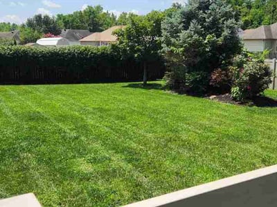 Lawn Care service in Corydon, 42406