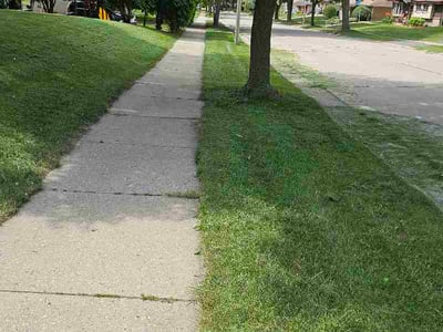 Lawn Care service in Menomonee Falls, 53051