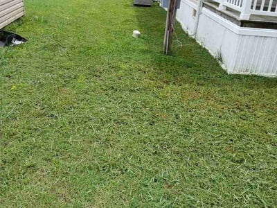 Lawn Care service in Framingham, 01702