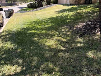 Lawn Care service in Cedar Creek, 78612