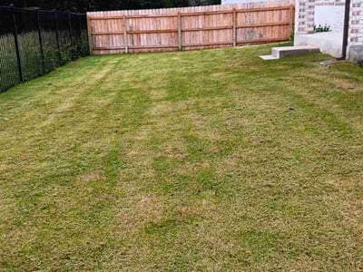 Lawn Care service in Vail, 85641