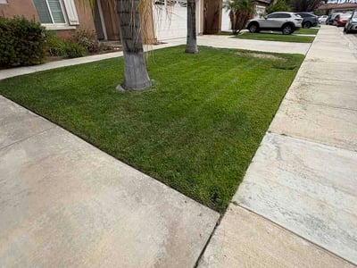 Lawn Care service in Big Bear Lake, 92315