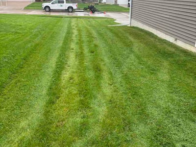 Lawn Care service in Cedar Falls, 50613