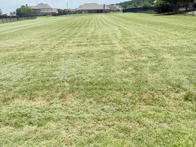 Lawn Care service in Redding, 96001