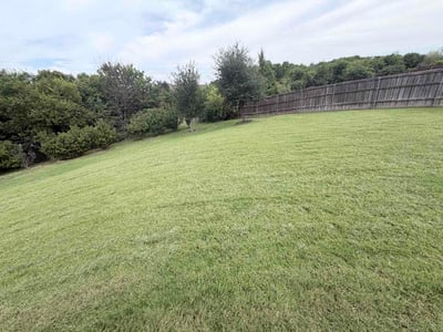 Lawn Care service in Sunnyvale, 75182