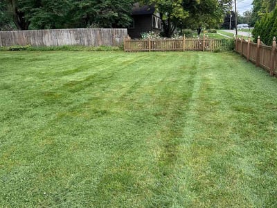 Lawn Care service in Des Moines, 50309