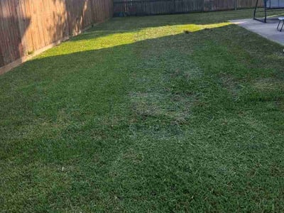 Lawn Care service in Heartland, 75126