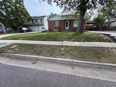 Lawn Care service in Englewood, 80113