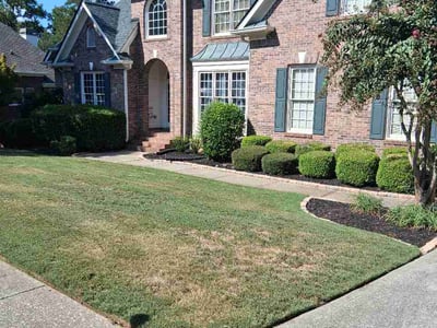 Lawn Care service in Sharpsburg, 30277