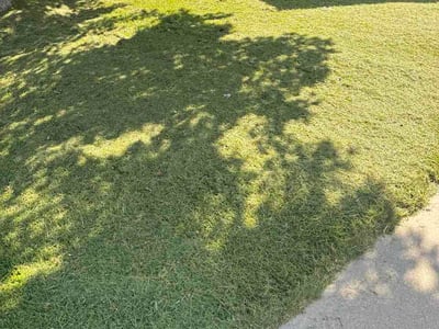 Lawn Care service in West Covina, 91790