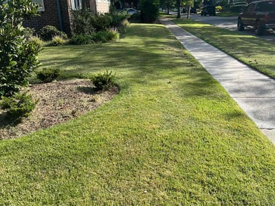 Lawn Care service in Christiansburg, 24073