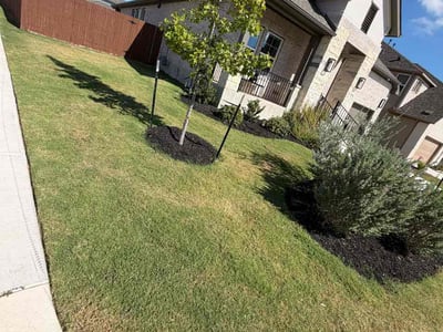Lawn Care service in Buda, 78610