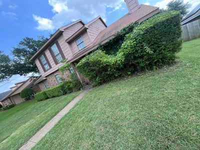 Lawn Care service in Cedar Hill, 75104