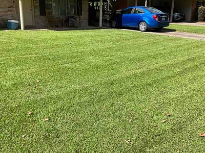Lawn Care service in Jackson, 70748