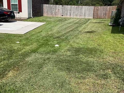 Lawn Care service in Jackson, 70748