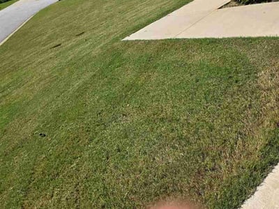 Lawn Care service in Taylors, 29687