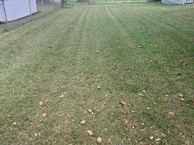 Lawn Care service in Carlsbad, 92008