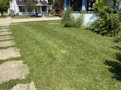 Lawn Care service in Princeton, 08542