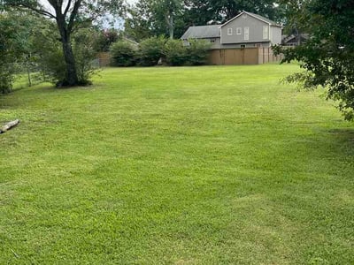 Lawn Care service in Owens Cross Roads, 35763