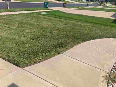 Lawn Care service in Mission, 66202
