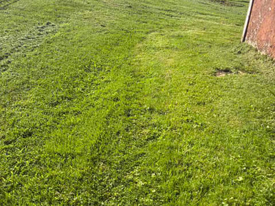 Lawn Care service in Kittanning, 16201
