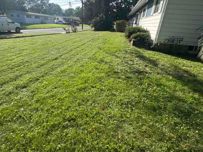 Lawn Care service in Fallbrook, 92028