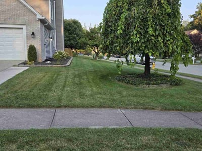 Lawn Care service in Beech Grove, 46107