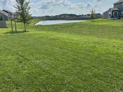 Lawn Care service in Marion County, 46208