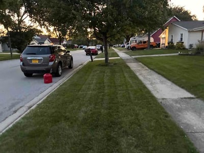 Lawn Care service in Romeoville, 60446