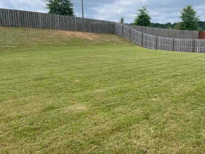 Lawn Care service in Loganville, 30052