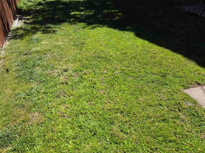 Lawn Care service in Lincoln, 95648
