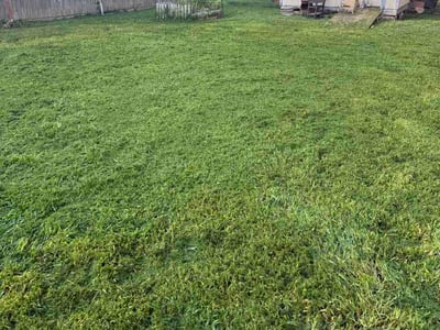 Lawn Care service in Garden Grove, 92843