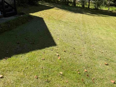 Lawn Care service in Brookhaven, 30319