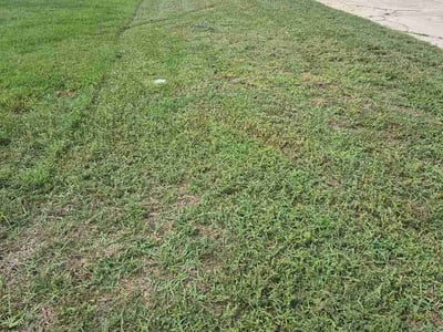 Lawn Care service in Riviera Beach, 33404
