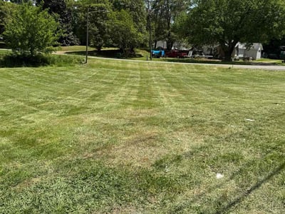 Lawn Care service in Tunkhannock, 18657