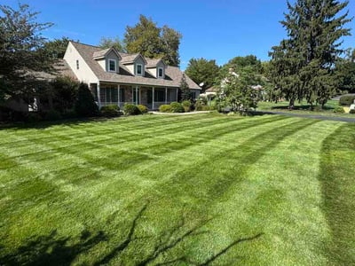 Lawn Care service in Elizabethtown, 17022