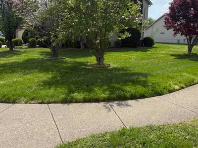 Lawn Care service in Jeffersontown, 40299