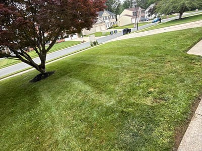 Lawn Care service in Beaver Falls, 15010
