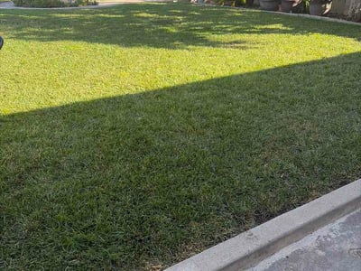 Lawn Care service in Sunnyvale, 94087