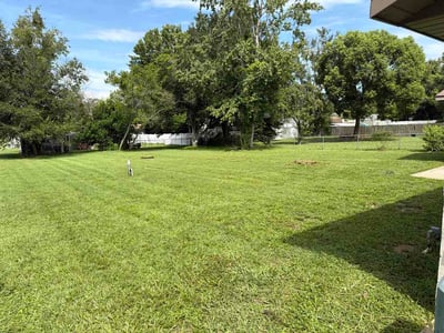 Lawn Care service in Miami, 33132